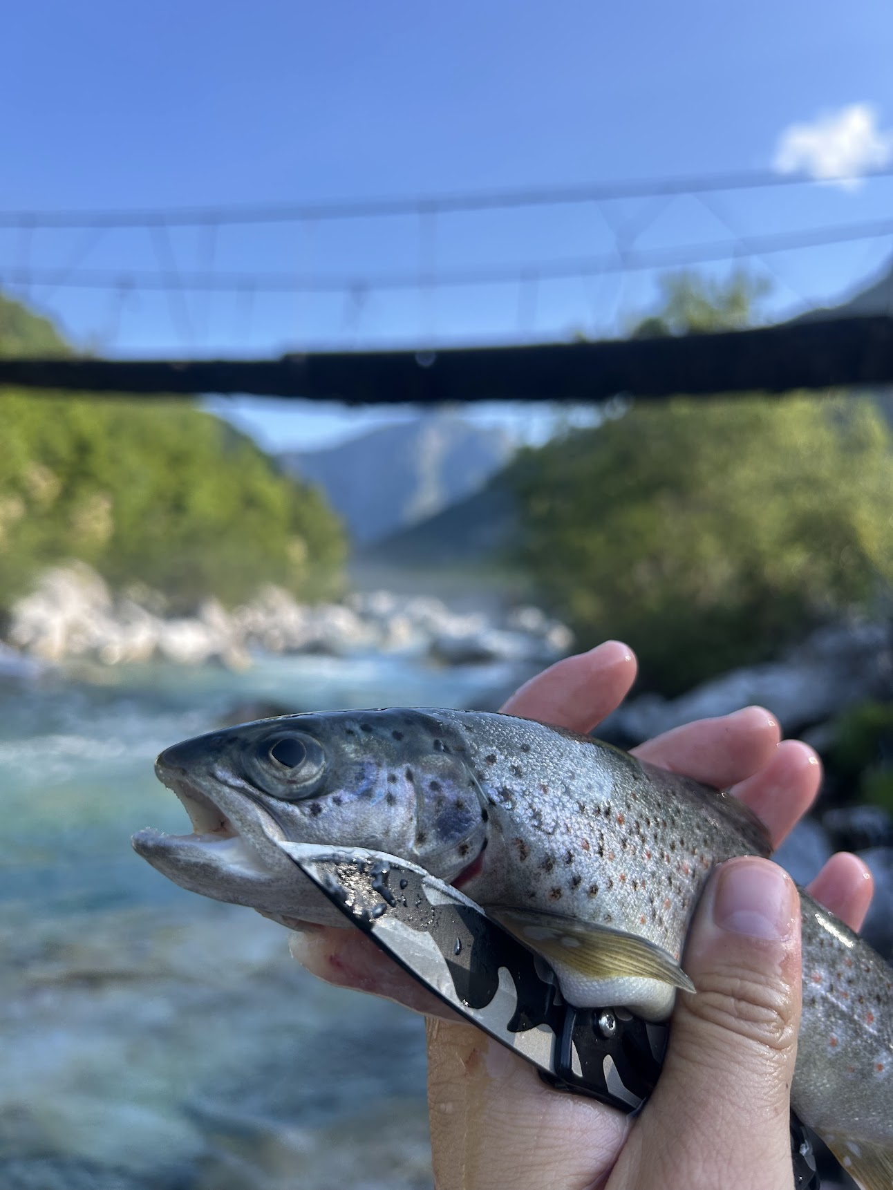 Fishing in the mountains